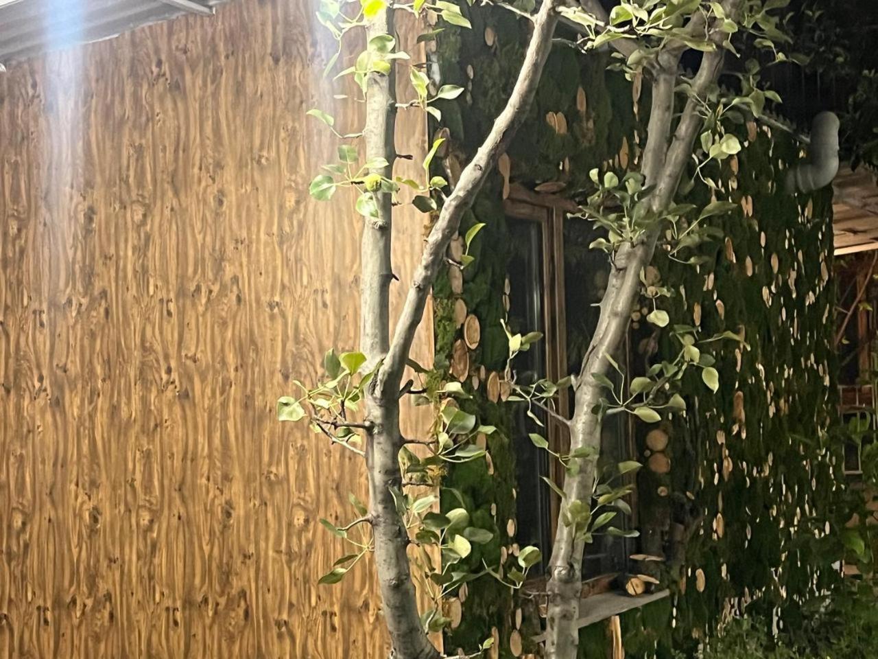 גוריס Andranik B&B מראה חיצוני תמונה